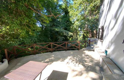 Pelion 7 Lives - Foto 57