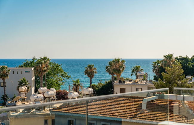 The Palmiers - Foto 11