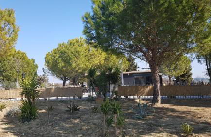 Domaine de L'Outarde Canepetiére Gîte A - Foto 9