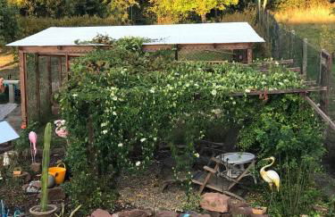 Casa Bella Ella - Foto 14