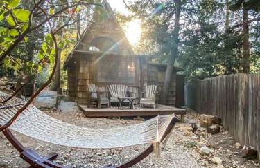 Wildland Zen Den Tiny House Retreat with Fireplace Grill AC Hammock Record Player Musical Instruments Pets OK - Foto 29