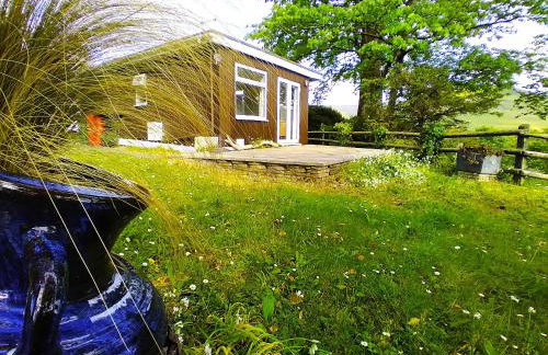 Sea Moss Cabin - Foto 24