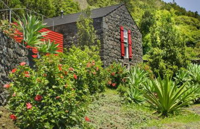 Casas de Incensos - TER -TA - Photo 3