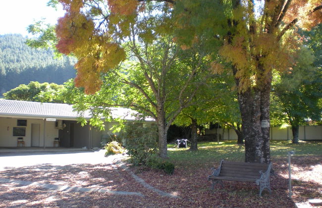 Willow Dene - Foto 18