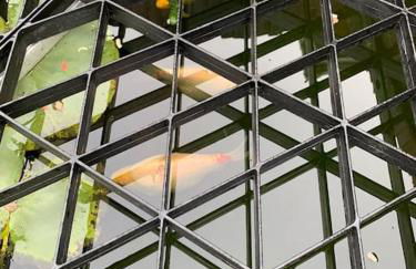 Potters Brook - Foto 29