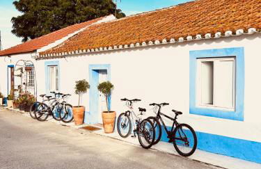 Casas das Piçarras - Alentejo - Foto 44