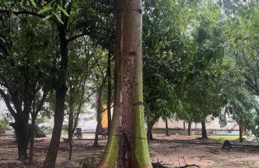 Conforto e refúgio a poucos minutos da praia! - Foto 22