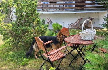 Widny Jaś zaprasza z psem nad jezioro na Kaszubach - Foto 10