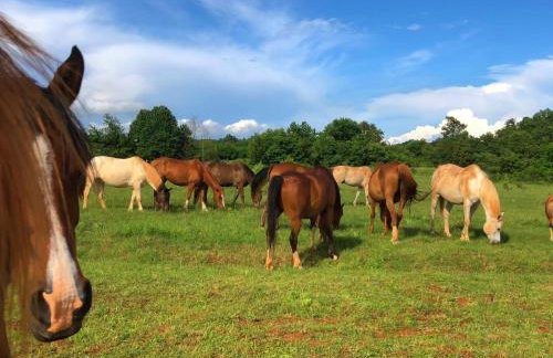 Holiday Home Klen 2 by Interhome - Foto 16