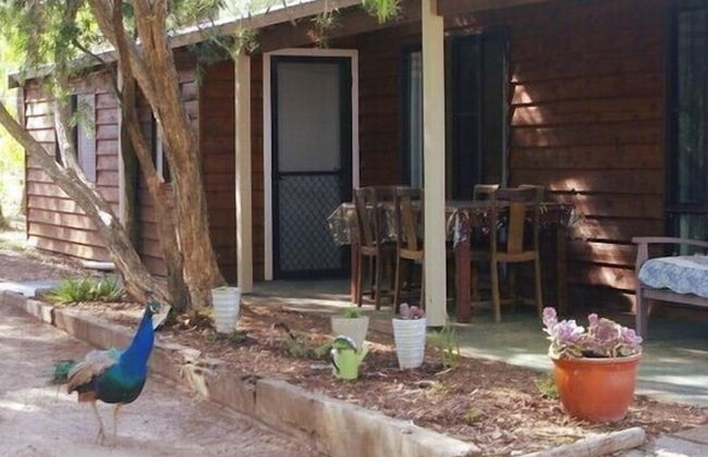 Kerriley Park Farm Stay - Foto 14