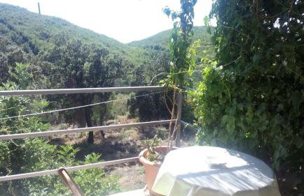 Cottage Melita the Apartment for Animal Lovers - Foto 15