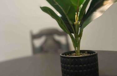 Home Sweet Home For Friends & Family Very Spacious - Photo 24