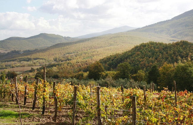 Country House in Tuscany With Panoramic Views - Foto 24