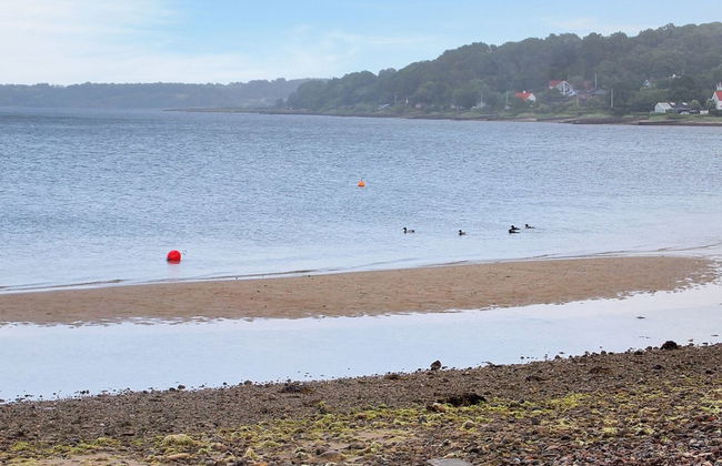 "Melia" - 50m to the fjord - Foto 17