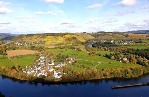 Zur alten Rebe Ferienhaus und Weingut - Foto 42
