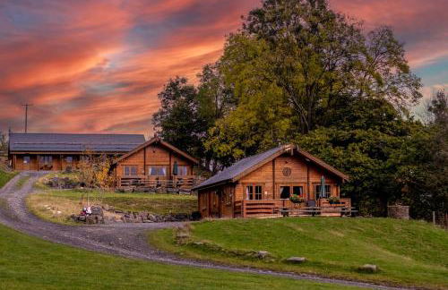 Bothy Cabin -Log cabin in wales - with hot tub - Foto 21