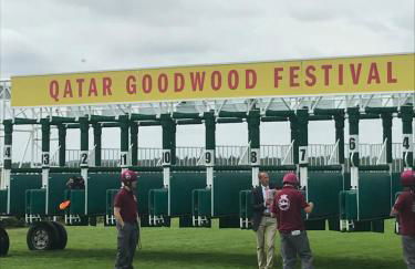 The Hen House - Photo 28