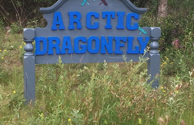 Arctic Dragonfly Inn - Foto 18