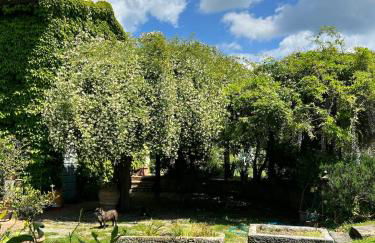 Villa Elena Tuscany - Pool & Garden Arezzo - IHH - Foto 21