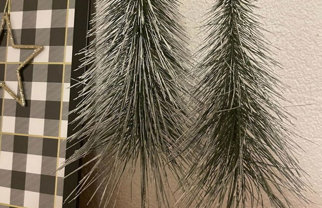 Bergfreude - Foto 36