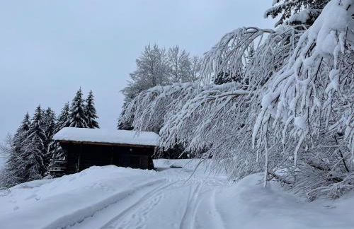 Le petit érable - Vue Mont Blanc - Foto 22
