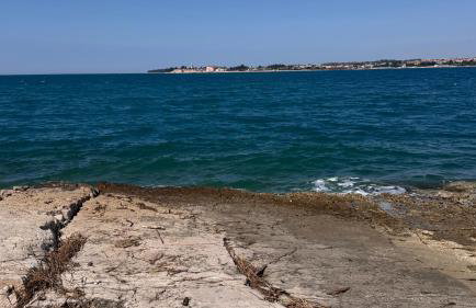 VELURA Apartments - Foto 26