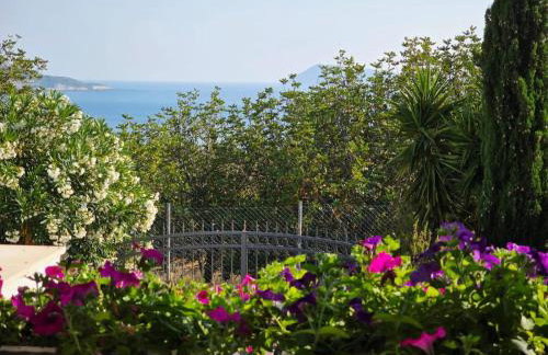 Paradise found - Foto 31