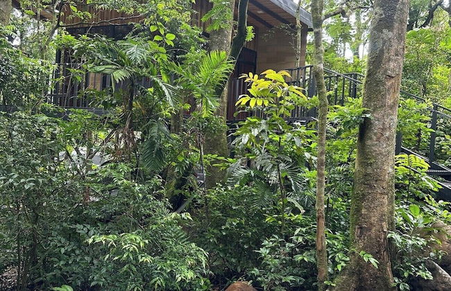 Cabañas Roca Verde Monteverde - Foto 20