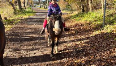 Erlebnisbauernhof Schwanewede - Foto 5