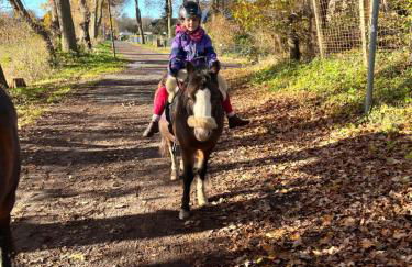Erlebnisbauernhof Schwanewede - Foto 5