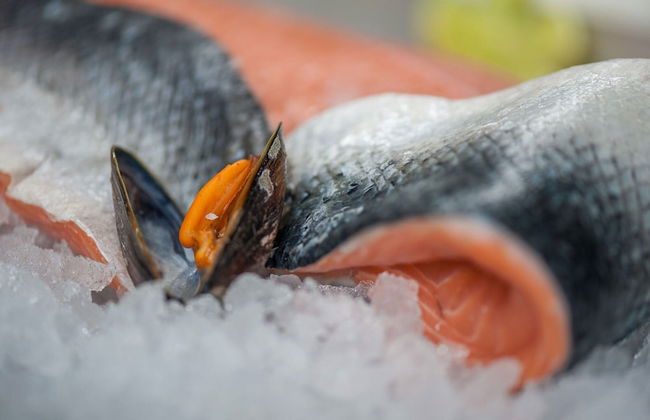 Modern Holiday Home, Near the Sea - Photo 7