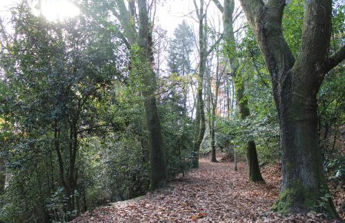 Minho House - Foto 10