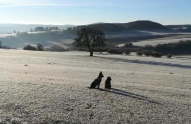Ferienwohnung Elsbeere - Foto 12