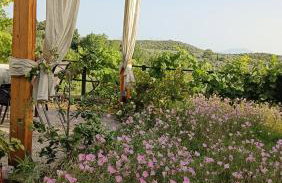 Mikros Paradisos Pelion - Foto 15