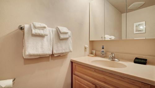 Rustic River Paradise - 1 Bed 2 Bath Vacation home in Baring - Foto 4