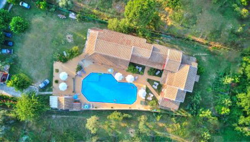 Blue Dream Apartments - Foto 3, Garden