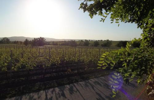 Fewo Pfalzwohnung Ellerstadt - Foto 15