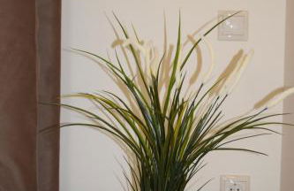 Three Stars Luxury Villas - Foto 73