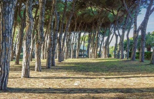 Stunning Apartment In Fosdinovo - Foto 22