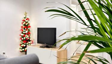 Apartamento de Pau - Foto 2