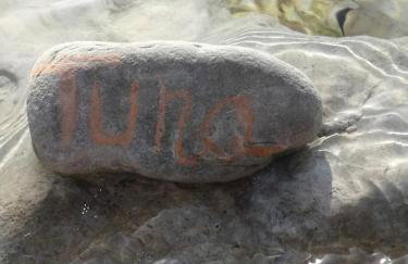 House Tuna - Foto 30