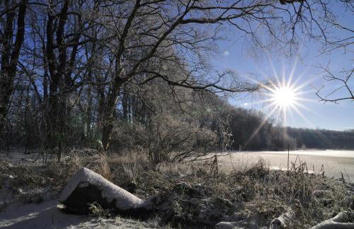 Ferienhof Jepsen - Foto 29