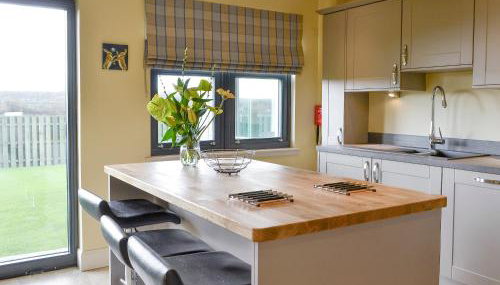 The Haymakers - Photo 5