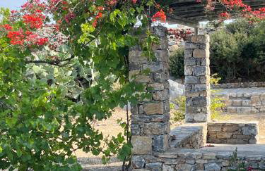 Messaria - Schinoussa - Foto 36