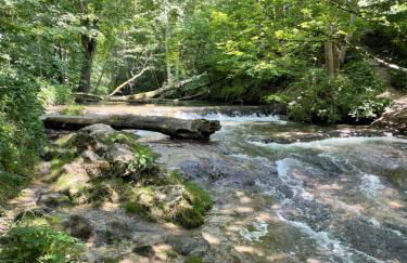 Ferienwohnung Christine - Foto 33
