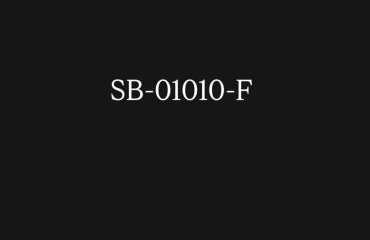 TheFlatInJed - Foto 22