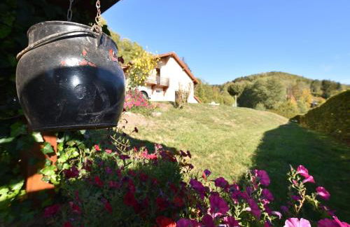 Holiday Home in Vosges with Garden and BBQ - Foto 39