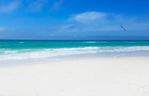 Tiki Palms Paradise by Emerald Coast Retreats - Photo 10