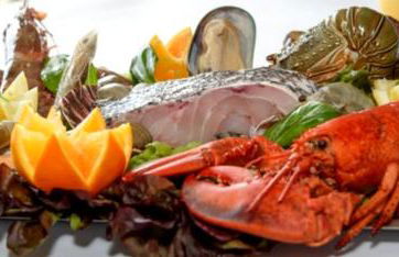 Villa Belavista - Moradia para Famílias - Foto 57