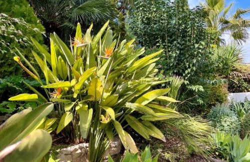 Entire villa with pool, ocean & mountain views - Foto 36